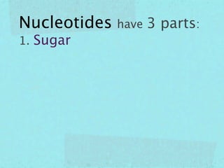 Nucleotides have 3 parts:
1. Sugar
 