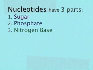 Nucleotides have 3 parts:
1. Sugar
2. Phosphate
3. Nitrogen Base
 