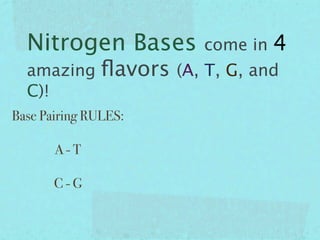 Nitrogen Bases           come in   4
  amazing      ﬂavors   (A, T, G, and
  C)!
Base Pairing RULES:

       A-T

       C-G
 