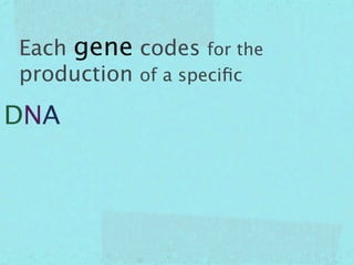 Each gene codes for the
production of a speciﬁc

DNA
 