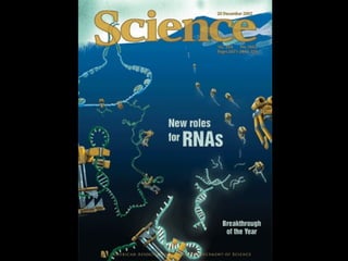 RNAi
 