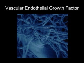 Vascular Endothelial Growth Factor
 