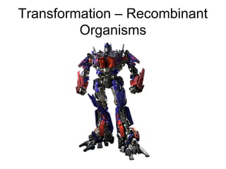 Transformation – Recombinant
Organisms
 