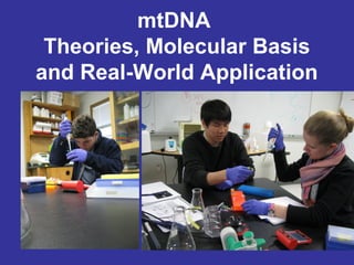 mtDNA
Theories, Molecular Basis
and Real-World Application
 