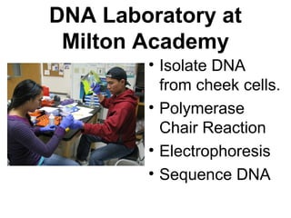 DNA Laboratory at
Milton Academy
• Isolate DNA
from cheek cells.
• Polymerase
Chair Reaction
• Electrophoresis
• Sequence DNA
 