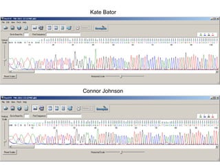 Kate Bator
Connor Johnson
 