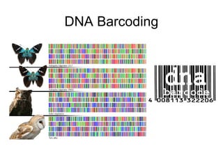 DNA Barcoding
 