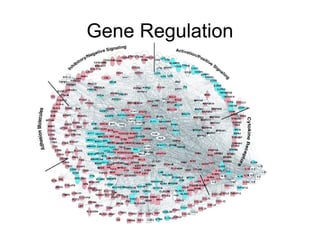 Gene Regulation
 