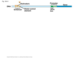 Fig. 18-9-1
Enhancer TATA
box
PromoterActivators
DNA
Gene
Distal control
element
 
