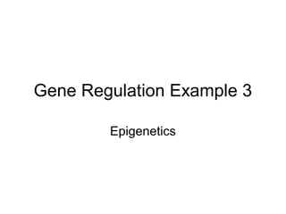 Gene Regulation Example 3
Epigenetics
 