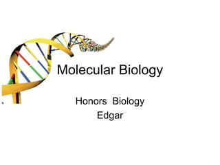 Molecular Biology
Honors Biology
Edgar
 