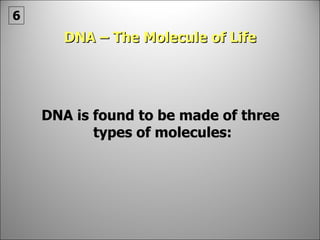 DNA – The Molecule of Life DNA is found to be made of three  types of molecules: 6 
