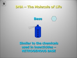 DNA – The Molecule of Life Base Similar to the chemicals used in insecticides – NITROGENOUS BASE 9 D O O M 