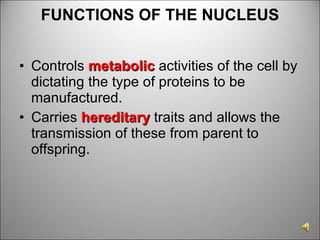 FUNCTIONS OF THE NUCLEUS Controls  metabolic   activities of the cell by dictating the type of proteins to be manufactured. Carries  hereditary  traits and allows the transmission of these from parent to offspring. 