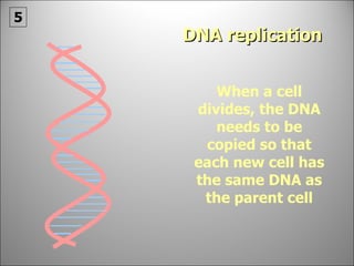 When a cell divides, the DNA needs to be copied so that each new cell has the same DNA as the parent cell DNA replication 5 