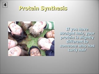Protein Synthesis If you have straight hair, your protein is slightly different to someone who has curly hair 4 