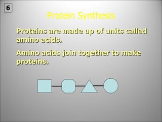 Protein Synthesis Proteins are made up of units called amino acids. Amino acids join together to make proteins. 6 