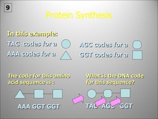 Protein Synthesis In this example: TAC  codes for a AAA codes for a AGC codes for a GGT codes for a The code for this amino acid sequence is : What is the DNA code for this sequence? AAA GGT GGT TAC  AGC  GGT  9 