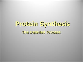 Protein Synthesis The Detailed Process 
