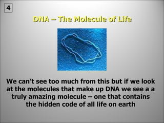 DNA – The Molecule of Life We can’t see too much from this but if we look at the molecules that make up DNA we see a a truly amazing molecule – one that contains the hidden code of all life on earth 4 