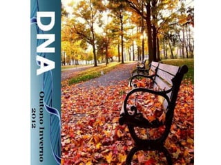 DNA - Coleção Outono Inverno 2012
