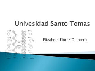 Elizabeth Florez Quintero
 