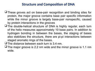 Structure and Composition of DNA
These groves act on base-pair recognition and binding sites for
protein, the major groove contains base pair specific information
while the minor groove is largely base-pair nonspecific, caused
by protein interactions in the grooves
The double-helical structure of DNA is highly regular, each turn
of the helix measures approximately 10 base pairs. In addition to
hydrogen bonding in between the bases, the staging of bases
also stabilizes the structure, there are pi-pi interactions between
staged aromatic rings of the bases.
The distance between each turn is 3.4 nm.
The major groove is 2.2 nm wide and the minor groove is 1.1 nm
wide.
 