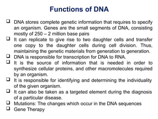 Functions of DNA
 DNA stores complete genetic information that requires to specify
an organism. Genes are the small segments of DNA, consisting
mostly of 250 – 2 million base pairs
 It can replicate to give rise to two daughter cells and transfer
one copy to the daughter cells during cell division. Thus,
maintaining the genetic materials from generation to generation.
 DNA is responsible for transcription for DNA to RNA.
 It is the source of information that is needed in order to
synthesize cellular proteins, and other macromolecules required
by an organism.
 It is responsible for identifying and determining the individuality
of the given organism.
 It can also be taken as a targeted element during the diagnosis
of a particular disease.
 Mutations: The changes which occur in the DNA sequences
 Gene Therapy
 