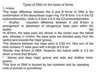 Types of DNA on the basis of forms
1. A-form
•The major difference between the A and B forms of DNA is the
conformation of the deoxyribose sugar ring. For B form, it is in the C2
endoconformation, while in A form it is in the C3 endoconformation.
• Another important difference between A and B-form is
the
the
arrangement or placement of nitrogenous base pairs within
duplex.
•In B-form, the base pairs are almost in the center over the helical
axis, whereas in A-form, the base pairs are diverted away from the
central axis towards the major groove.
•The distance between two base pairs is 0.29 nm. One turn of the
helix contains 11 base pairs with a length of 2.8 nm
•Shorter than B-form of DNA. However, the helical width is 2.3 nm
which is more than B-form.
• Narrow and deep major groove and wide and shallow minor
groove.
•This form of DNA is favored by low hydration and by repeating
units of purines or pyrimidines.
 