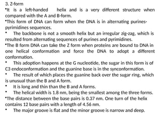 3. Z-form
•It is a left-handed helix and is a very different structure when
compared with the A and B-form.
•This form of DNA can form when the DNA is in alternating purines-
pyrimidines sequences.
• The backbone is not a smooth helix but an irregular zig-zag, which is
resulted from alternating sequences of purines and pyrimidines.
•The B form DNA can take the Z form when proteins are bound to DNA in
one helical conformation and force the DNA to adopt a different
conformation.
• This adoption happens at the G nucleotide, the sugar in this form is of
C3 endoconformation and the guanine base is in the synconformation.
• The result of which places the guanine back over the sugar ring, which
is unusual than the B and A form.
• It is long and thin than the B and A forms.
• The helical width is 1.8 nm, being the smallest among the three forms.
•The distance between the base pairs is 0.37 nm. One turn of the helix
contains 12 base pairs with a length of 4.56 nm.
• The major groove is flat and the minor groove is narrow and deep.
 