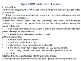 Types of DNA on the basis of location
1. Nuclear DNA
•As the name suggests, these DNAs are located inside the nucleus organized in the
chromosome.
• These chromosomes are 43 pairs in humans and are linear with open ends and
contain 3 billion nucleotides.
•Nuclear DNA houses genes that are transcribed into mRNA and ultimately
translated to proteins, that are necessary for the functioning and maintaining the
integrity of the cell.
• It is inherited from both parents, so this is diploid and considered unique to each
individual except for identical twins.
• It is usually present in two copy numbers per cell
2. Mitochondrial DNA
• It is located inside the mitochondria.
• It is small and circular in structure
• It is inherited only from the mother, so is a haploid.
• It is present in a much higher copy number. i.e., 100-10,000 per cell.
• It has only 16,500 base pairs and encodes proteins that are
specificfor
mitochondria. These proteins are vital for producing energy.
•Mitochondrial DNA encoded proteins also play a pivotal role during intracellular
 