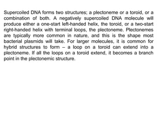 Supercoiled DNA forms two structures; a plectoneme or a toroid, or a
combination of both. A negatively supercoiled DNA molecule will
produce either a one-start left-handed helix, the toroid, or a two-start
right-handed helix with terminal loops, the plectoneme. Plectonemes
are typically more common in nature, and this is the shape most
bacterial plasmids will take. For larger molecules, it is common for
hybrid structures to form – a loop on a toroid can extend into a
plectoneme. If all the loops on a toroid extend, it becomes a branch
point in the plectonemic structure.
 