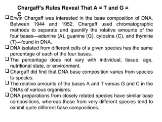 Chargaff’s Rules Reveal That A = T and G =
C
Erwin Chargaff was interested in the base composition of DNA.
Between 1944 and 1952, Chargaff used chromatographic
methods to separate and quantify the relative amounts of the
four bases—adenine (A), guanine (G), cytosine (C), and thymine
(T)—found in DNA.
DNA isolated from different cells of a given species has the same
percentage of each of the four bases.
The percentage does not vary with individual, tissue, age,
nutritional state, or environment.
Chargaff did find that DNA base composition varies from species
to species.
The relative amounts of the bases A and T versus G and C in the
DNAs of various organisms.
DNA preparations from closely related species have similar base
compositions, whereas those from very different species tend to
exhibit quite different base compositions.
 