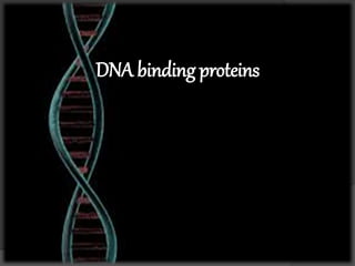 DNA binding proteins
 