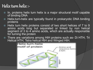 Dna binding 2024 motifs ppt