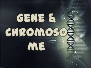 Gene &
Chromoso
    me
 