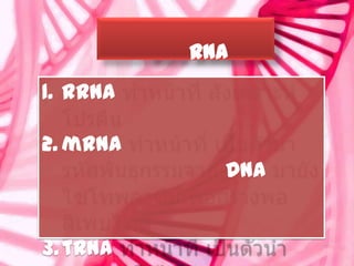 RNA
1. rRNA

2. mRNA
            DNA


3. tRNA
 