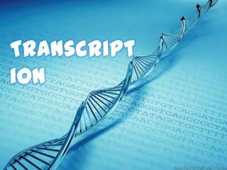 Transcript
ion
 