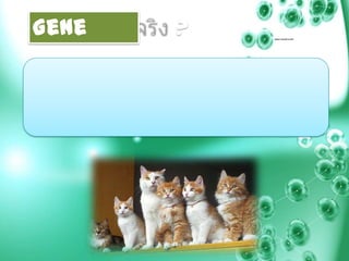 Gene   ?
 