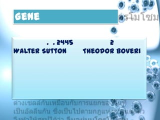 Gene

        . . 2445         2
Walter Sutton      Theodor Boveri
 
