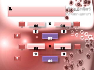 2.


              X
         BB        bb
         B         b
     F
              Bb

              X
         bb        BB
         b         B
     F
              Bb
 