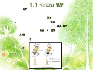 XY

-                XY
-                 XX
                        AA+XY
              AA + XX
    A+X
          2
                 X
     Y
 