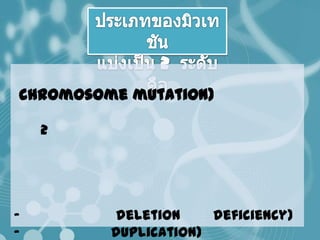 chromosome mutation)

    2




-         deletion    deficiency)
-        duplication)
 