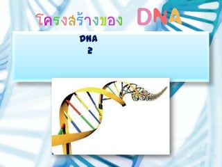 DNA
 2
 