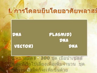 DNA           plasmid)
                  DNA
vector)               DNA

          -
 