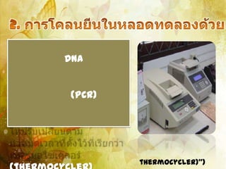 DNA


 (PCR)




         thermocycler)")
 
