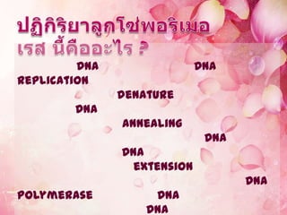DNA                 DNA
Replication
               denature
        DNA
               annealing
                              DNA
               DNA
                 extension
                                    DNA
Polymerase          DNA
                   DNA
 