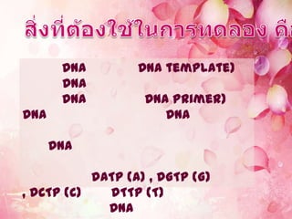 DNA        DNA template)
       DNA
       DNA         DNA primer)
DNA                   DNA

      DNA

           dATP (A) , dGTP (G)
, dCTP (C)   dTTP (T)
             DNA
 
