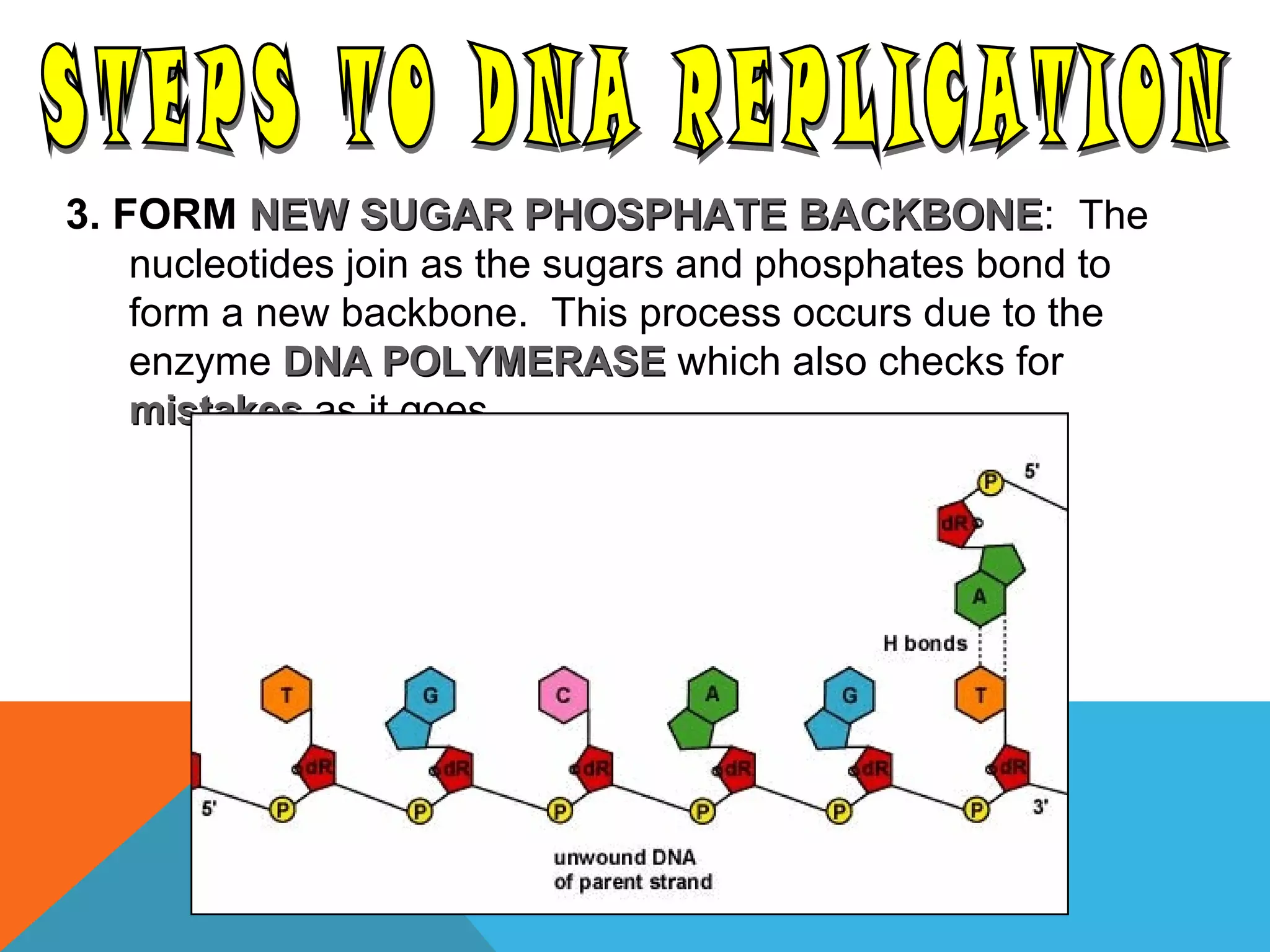 Dna 9th grade | PPT