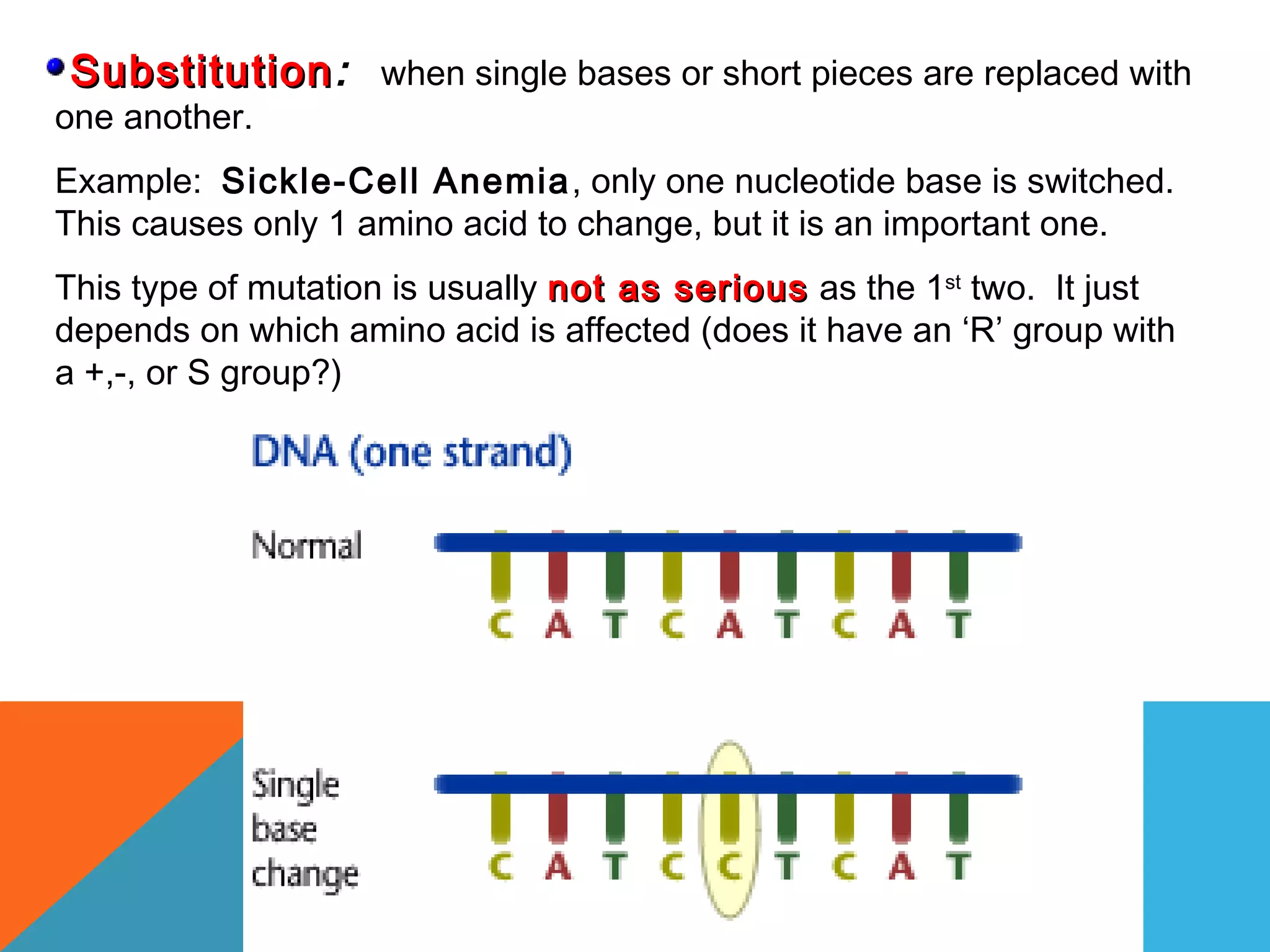 Dna 9th grade | PPT